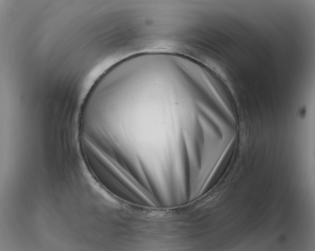 X0000116351480200912221451