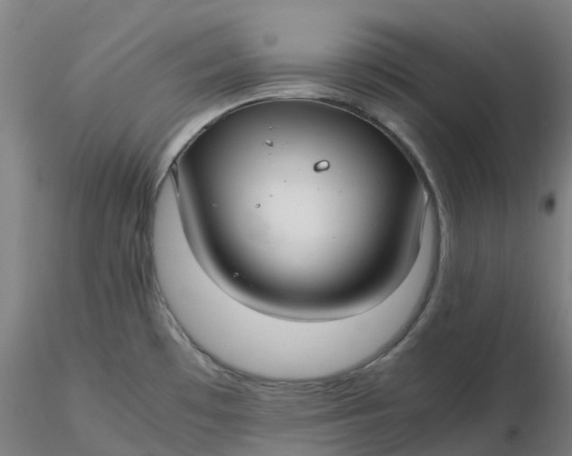 X0000116351481200912221451