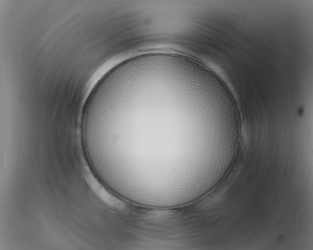 X0000116351482200912221451