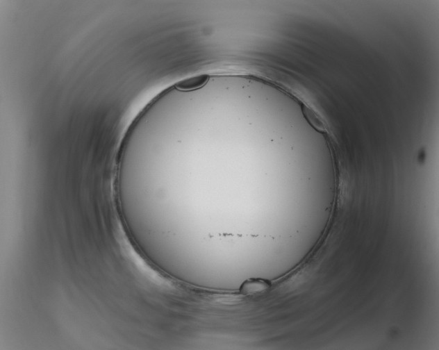 X0000116351484200912221451