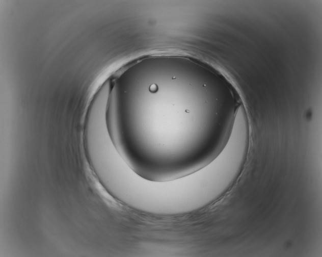 X0000116351485200912221451