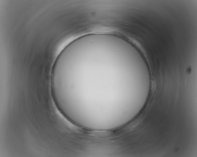 X0000116351487200912221451