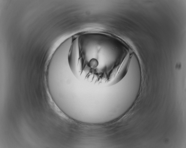 X0000116351488200912221451