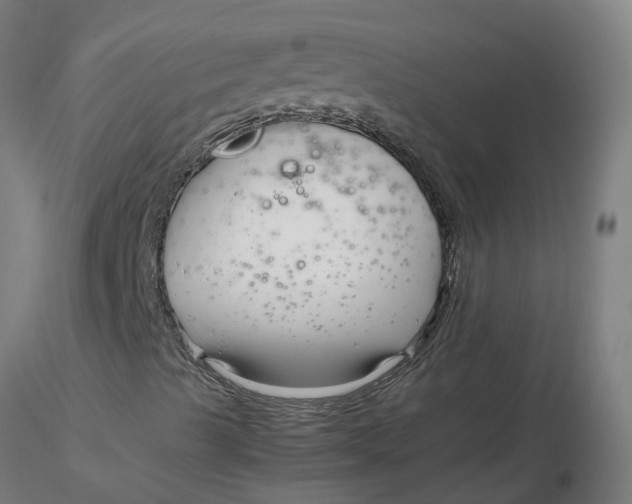 X0000116351489200912221451