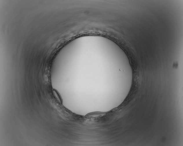 X0000116351490200912221451