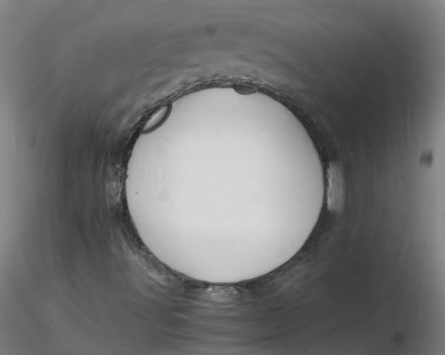 X0000116351491200912221451