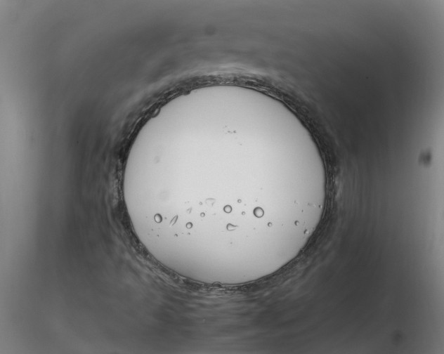 X0000116351493200912221451