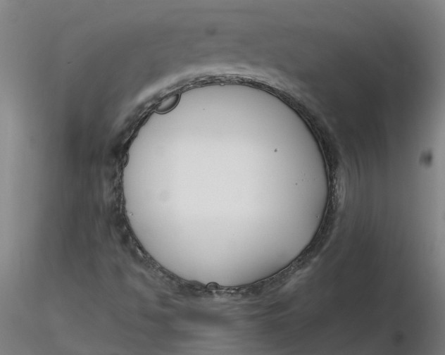 X0000116351494200912221451