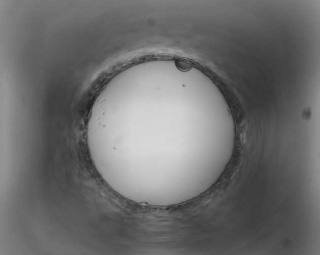 X0000116351495200912221451