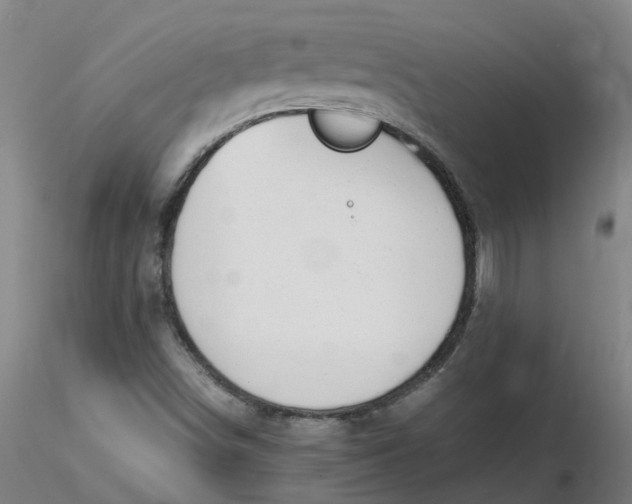 X0000116351498200912221451