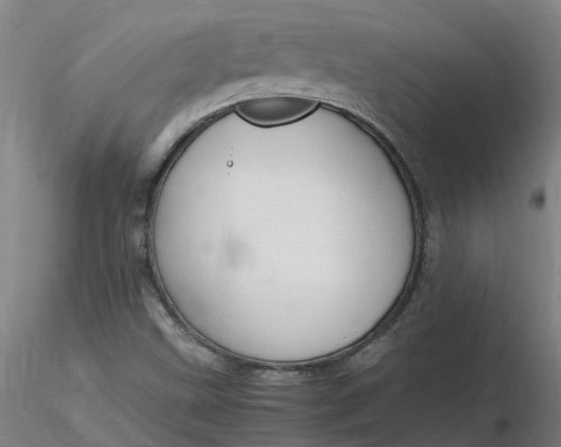 X0000116351499200912221451