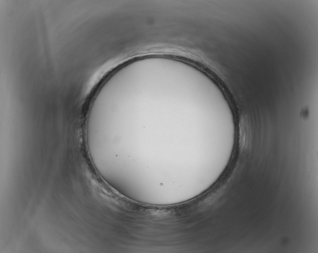 X0000116351501200912221451