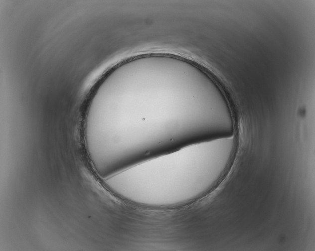 X0000116351502200912221451