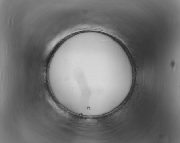 X0000116351503200912221451