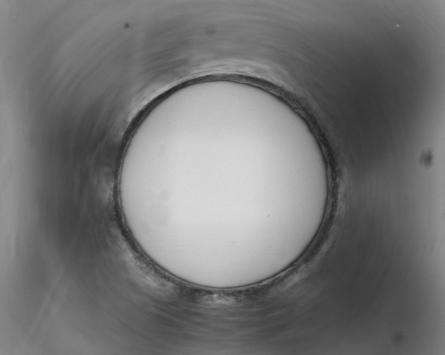 X0000116351505200912221451