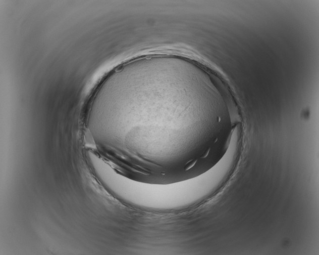 X0000116351506200912221451