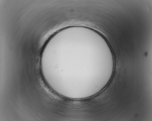 X0000116351507200912221451