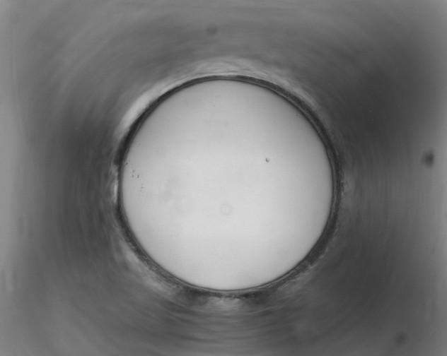 X0000116351509200912221451