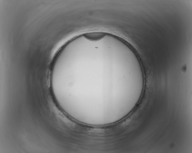 X0000116351510200912221451