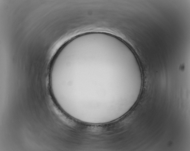 X0000116351511200912221451