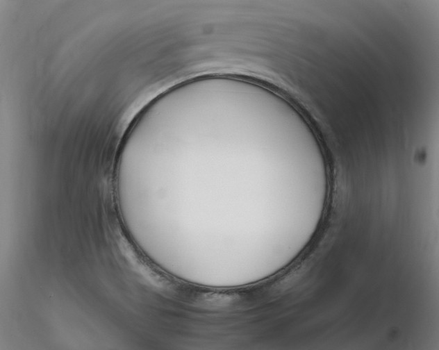 X0000116351513200912221451