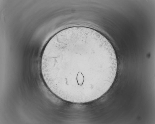 X0000116351514200912221451