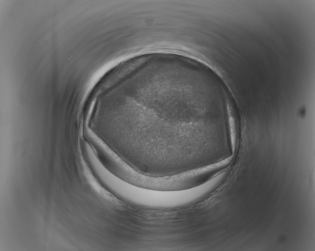 X0000116351515200912221451