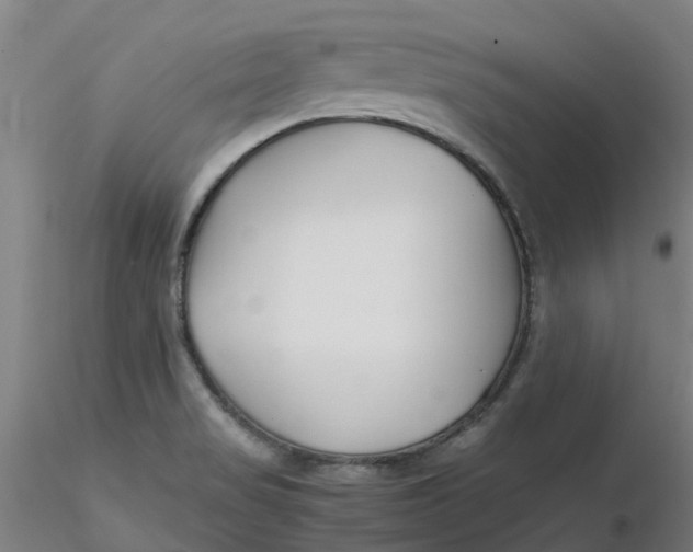 X0000116351517200912221451