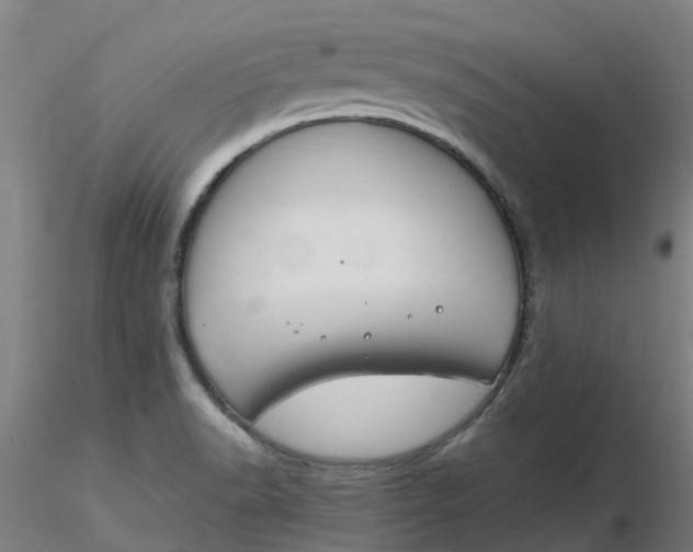 X0000116351518200912221451