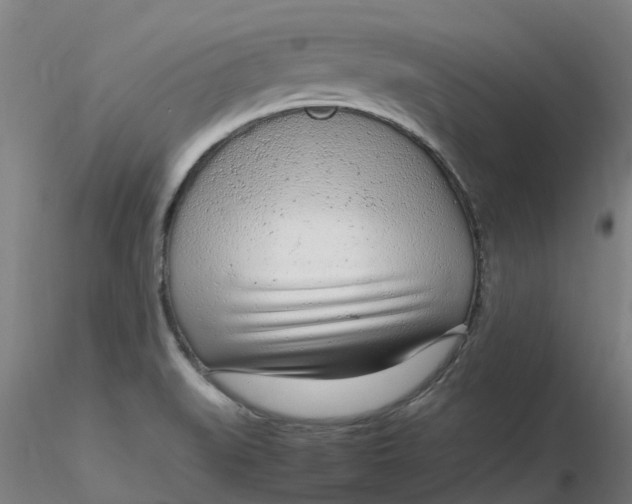 X0000116351519200912221451