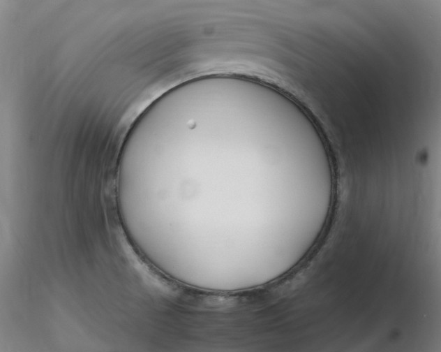 X0000116351521200912221451