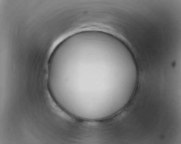 X0000116351522200912221451