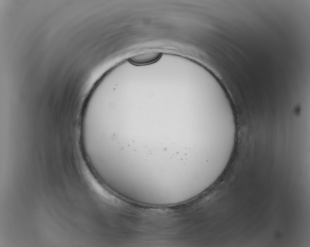 X0000116351523200912221451