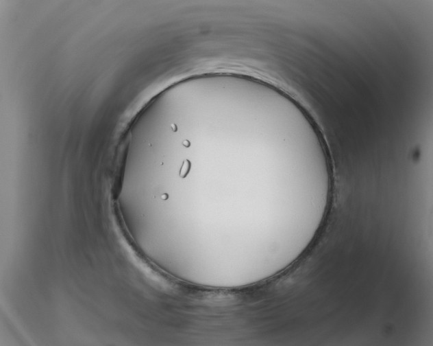 X0000116351525200912221451