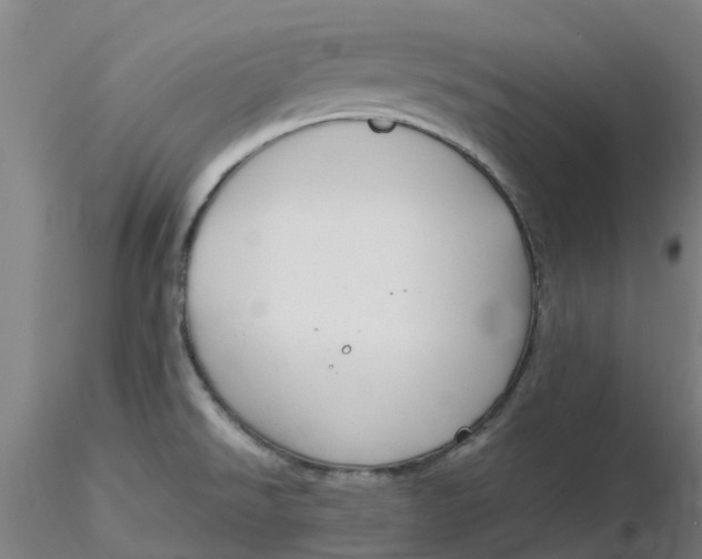 X0000116351526200912221451