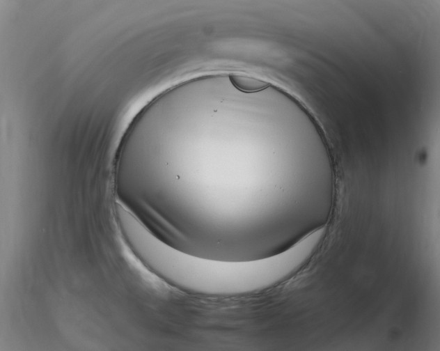 X0000116351527200912221451