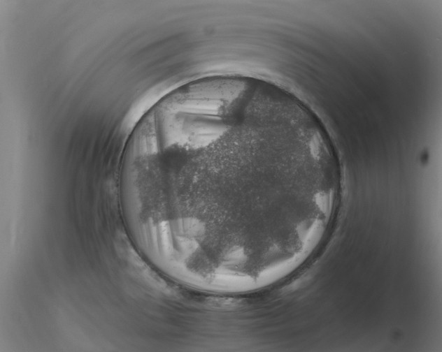 X0000116351529200912221451