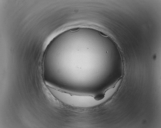 X0000116351530200912221451