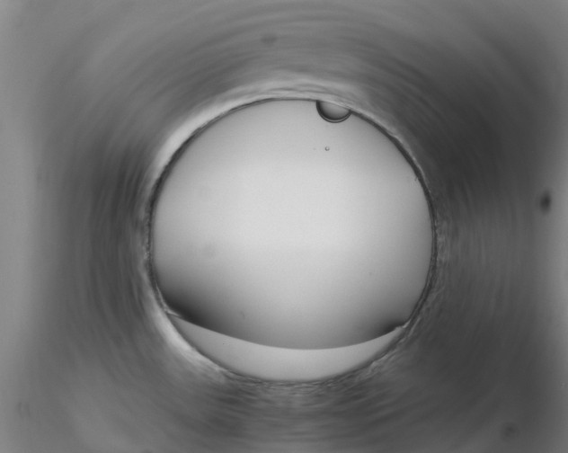 X0000116351531200912221451