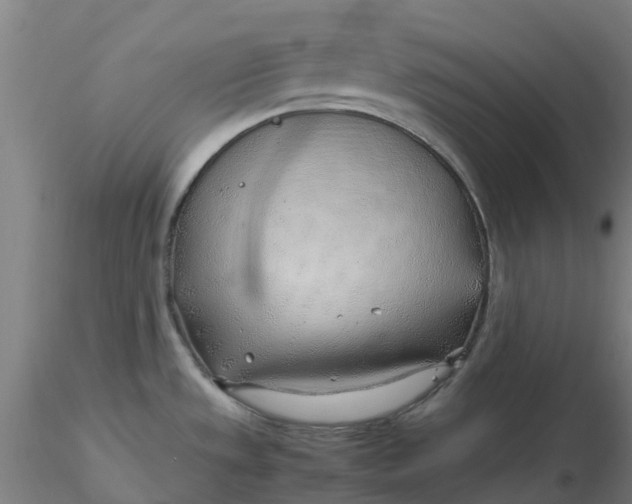 X0000116351533200912221451