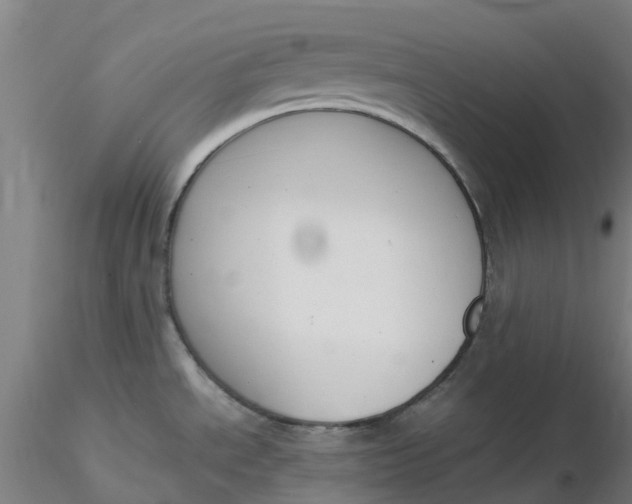 X0000116351534200912221451