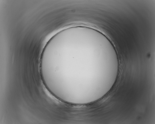 X0000116351535200912221451