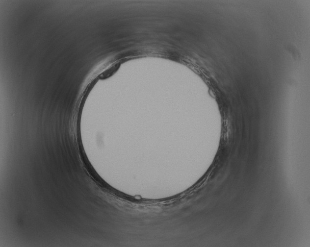 X0000116350004200912291640