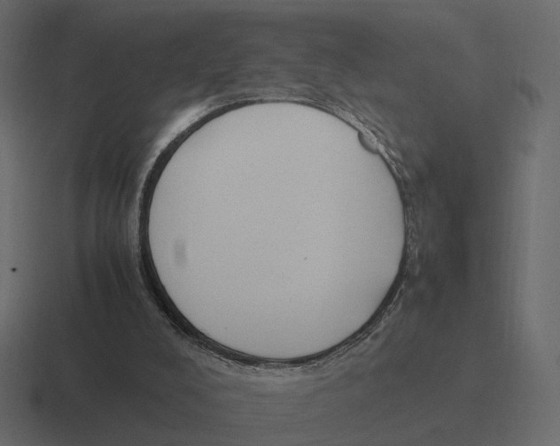 X0000116350008200912291640
