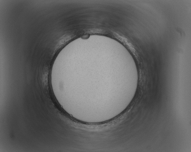 X0000116350010200912291640