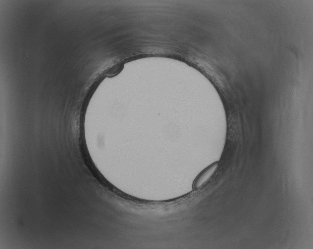 X0000116350015200912291640