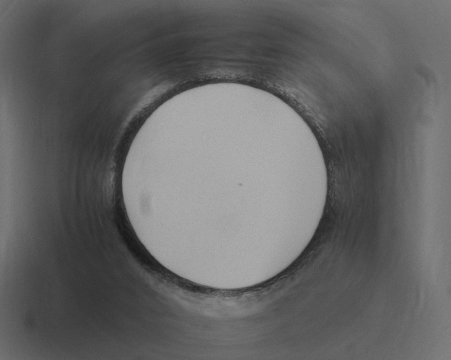X0000116350016200912291640