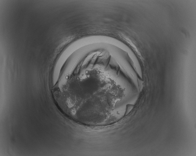 X0000116350019200912291640