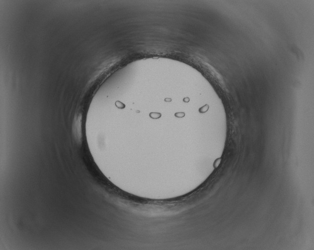 X0000116350020200912291640