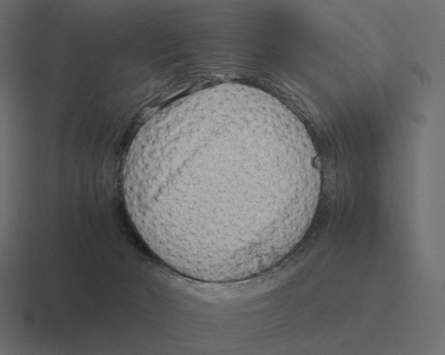 X0000116350030200912291640